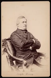 Ritratto di Joseph Henry 1797-1878, Tra il 1868 e il 1878
