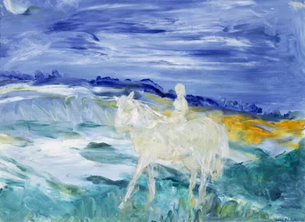 Il cavaliere