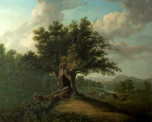 Una quercia nel parco di Moccas, Herefordshire