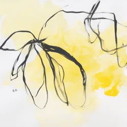 La vita in giallo 2