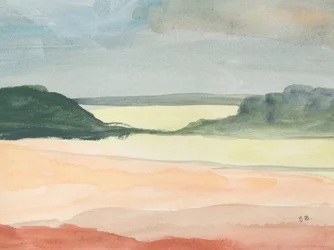 Paesaggio sereno del deserto