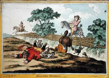 Cani che trovano (vedi anche 191237)