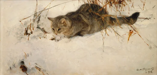 Un gatto che insegue un topo nella neve