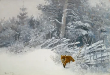 Una volpe nei boschi invernali