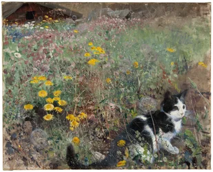 Gatto in un prato fiorito