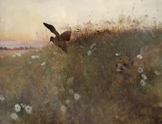 Volpe e beccaccia