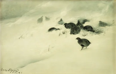 Pernici in una tempesta di neve