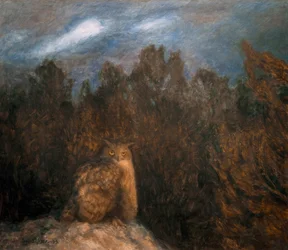 Il gufo nel profondo della foresta