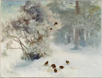 Nutrire gli uccelli nella neve