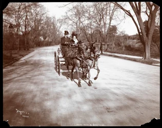 Anna Held e Florenz Ziegfeld in carrozza a cavalli, New York, 1904