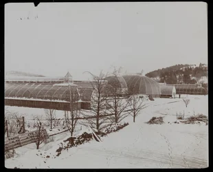 Le Serre nella Neve presso la Tenuta di Helen Gould (ex residenza di Jay Gould) a Tarrytown, New York, 1894