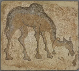 Frammento di mosaico con cammello al pascolo