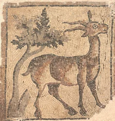 Ariete vicino a un albero