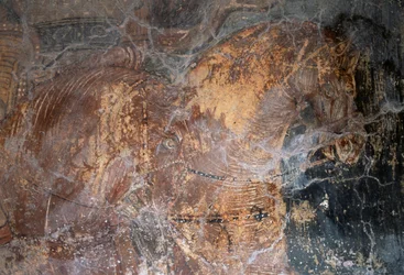 Cavallo, dettaglio di un affresco nella chiesa di Agios Georgios, Komitades, Creta, Grecia (foto)