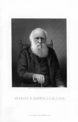 Charles Darwin, naturalista britannico, 1899
