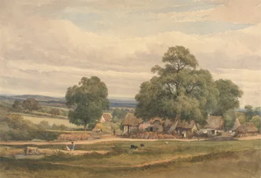 Emerey Down vicino a Lyndhurst, New Forest, Hants