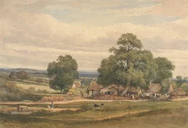 Emerey Down vicino a Lyndhurst, New Forest, Hants