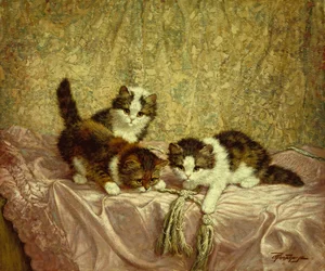 Gattini giocosi (olio su tela)
