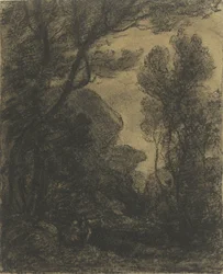 Vista del bosco di sera