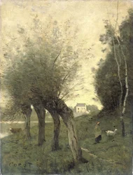 Paesaggio con salici capitozzati