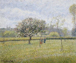 Melo in Fiore a Eragny, 1888