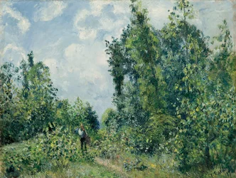 Bordo del bosco