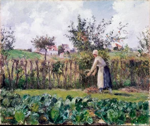 Nel giardino