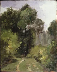 Sotto gli alberi