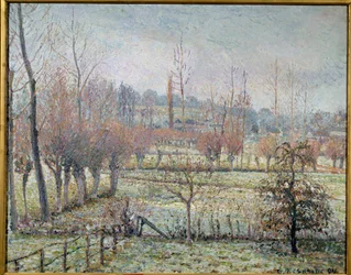 Gelo bianco, mattina o effetto neve a Eragny