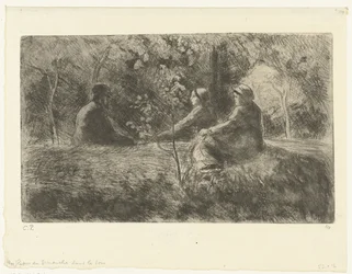 Riposo domenicale nel bosco