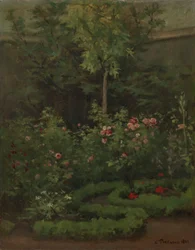 Un giardino di rose