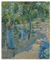 Raccolta di Mele