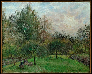 Meli e pioppi al tramonto