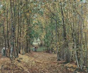 Viale del Parco di Marly