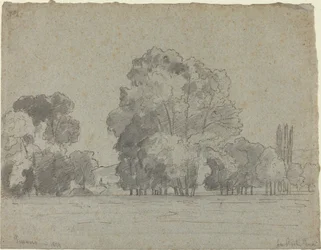 Boschetto di alberi