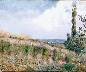 Paesaggio
