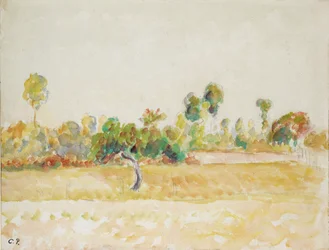 Studio del frutteto a Éragny-sur-Epte, visto dalla casa dell