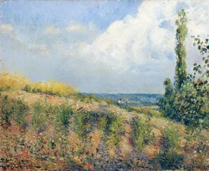 La tempesta in arrivo