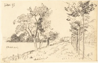 Il vialetto