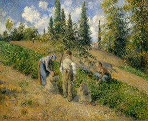 Il Raccolto, Pontoise