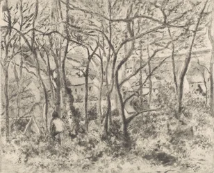 Il Bosco a L