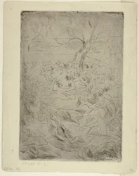 Donna nel giardino della cucina