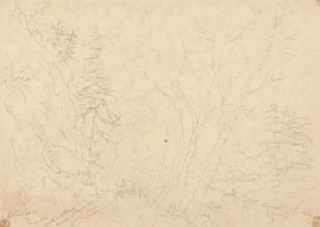 Holne Chase, 30 maggio 1833