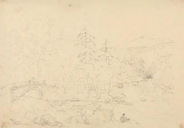 Ponte di Holne Chase