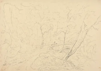 Ponte e fiume di Holne Chase, 30 maggio 1833