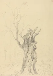 Nel Parco di Lord Yarborough, Appuldurcombe, Isola di Wight