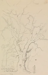 Sulla strada di Newport, 12 febbraio 1826