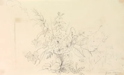 Schizzo di Piante e una Pietra Miliare dalla Natura, 3 Giugno 1826