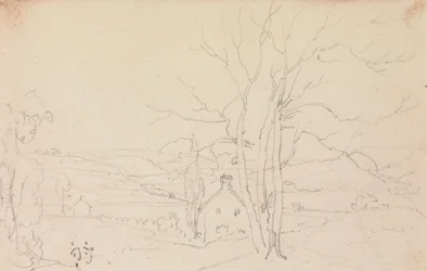 Schizzo di un grande albero e un cottage