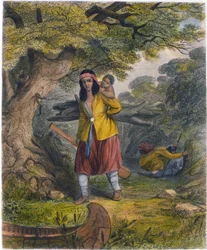 Donne indiane che procurano combustibile, 1853